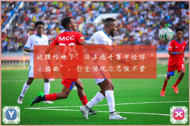 这操作绝了!日本选手赛中捡球“小插曲”,引全场观众忍俊不禁