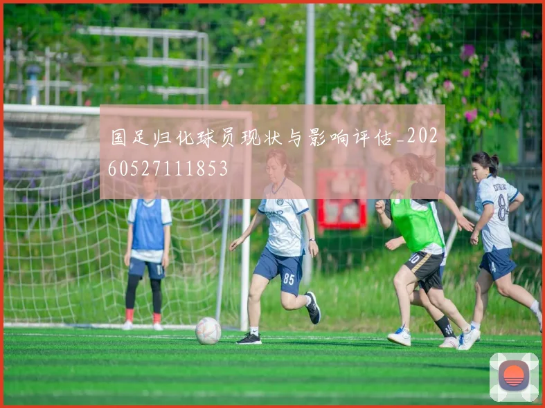 国足归化球员现状与影响评估_20260527111853