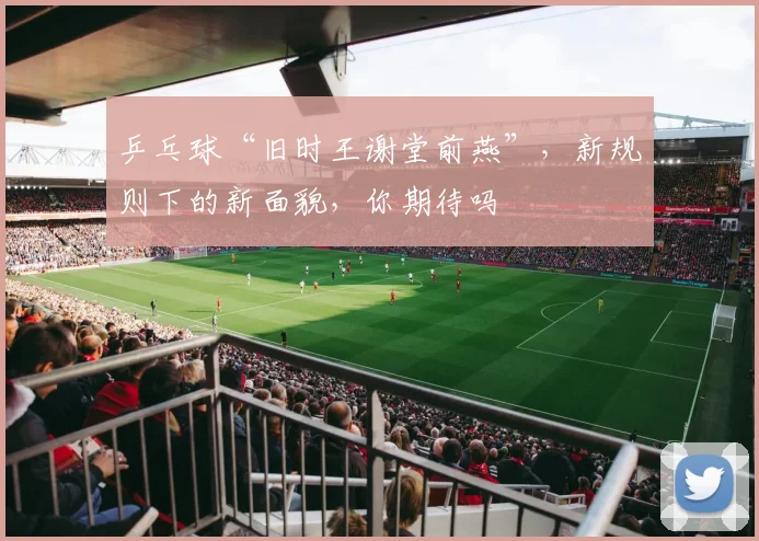乒乓球“旧时王谢堂前燕”，新规则下的新面貌，你期待吗