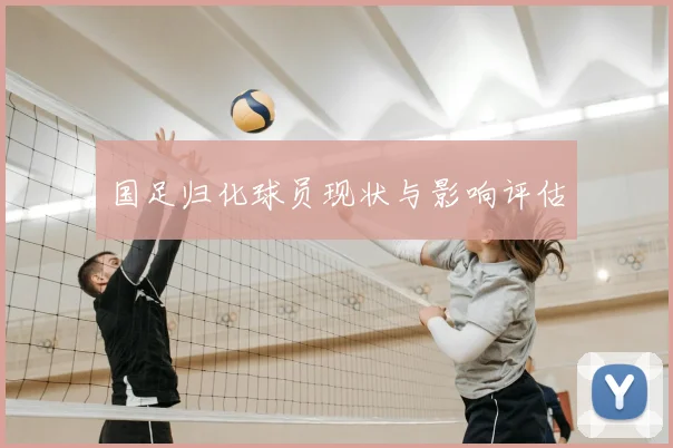 国足归化球员现状与影响评估