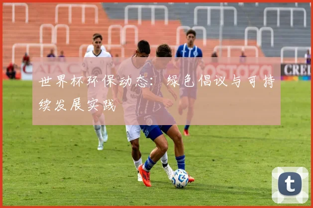 世界杯环保动态：绿色倡议与可持续发展实践