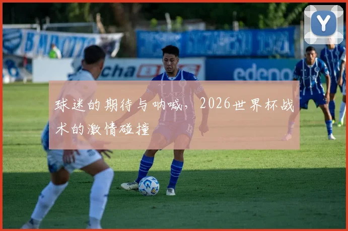 球迷的期待与呐喊，2026世界杯战术的激情碰撞