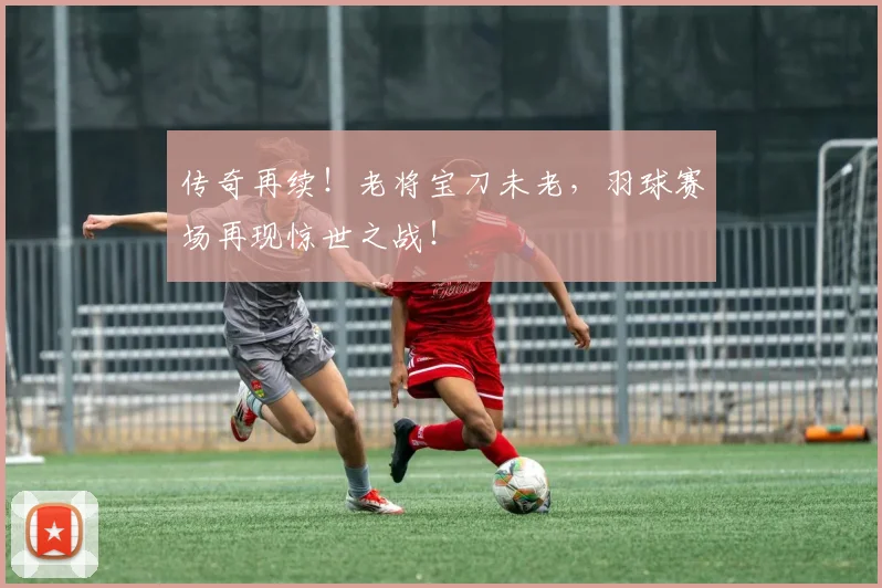 传奇再续！老将宝刀未老，羽球赛场再现惊世之战！