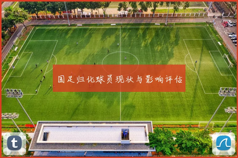 国足归化球员现状与影响评估